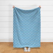 butterfly blue triangle gingham