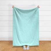 LAP - Pastel Aqua Solid, coordinate for Liquid Pastel Aqua