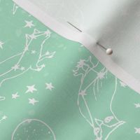 constellations // mint nursery baby fabric baby animals design andrea lauren fabric