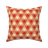 triangle apple gingham