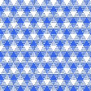 blue and white fisherman's triangle gingham