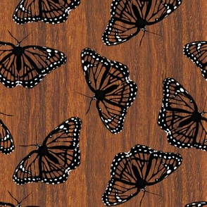 Viceroy Butterflies Camouflaged on Teak