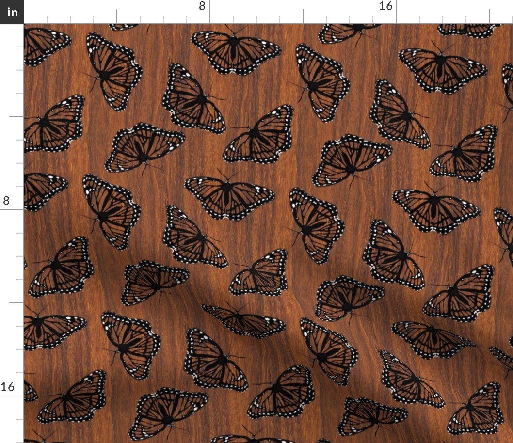 Viceroy Butterflies Camouflaged on Teak