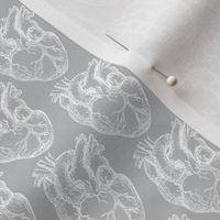 Hearts Anatomical White on Gray SMALL