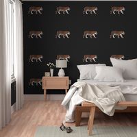 Teak Tiger Walking for Pillow