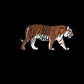 Teak Tiger Walking for Pillow