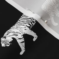 White Walking Tiger