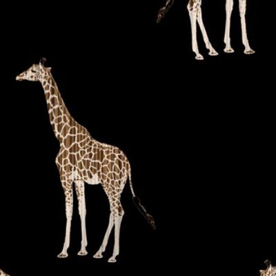 Zebrawood Giraffe Allover