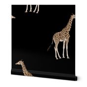 Zebrawood Giraffe Allover