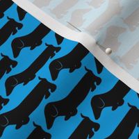 Dachshund 2 black & blue / Dog Print 