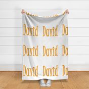 david_name_1