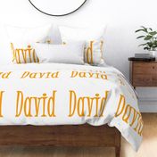 david_name_1