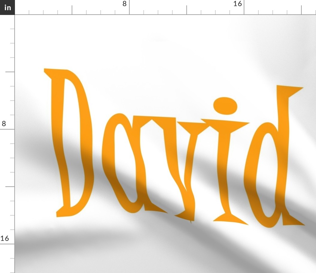 david_name_1