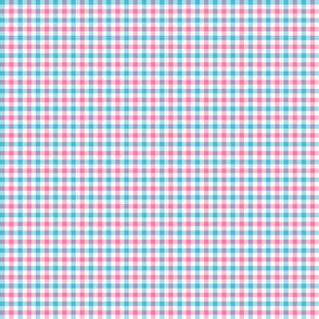 Pink and Blue Gingham Check Plaid (Small)