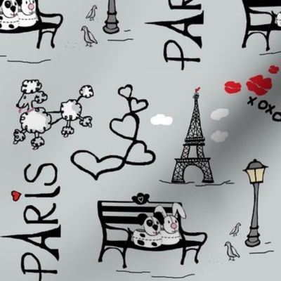 Paris <3-(Fluff n Bark in paris)France