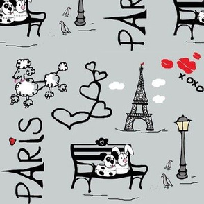 Paris <3-(Fluff n Bark in paris)France