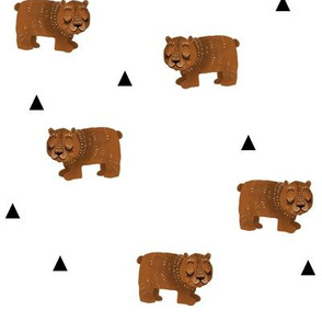 Sleepy Bears + Triangles