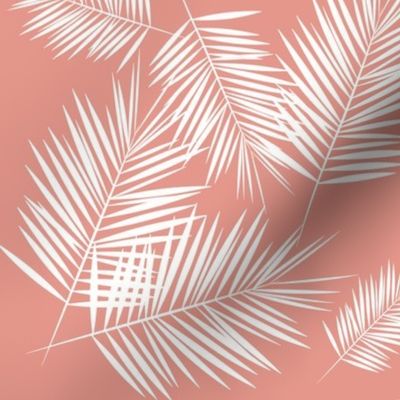 Palm leaf - white on coral Palm leaves Palm tree tropical summer || by sunny afternoon