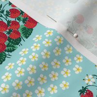 strawberry strawberries fruits daisy daisies flowers floral plants chequer checkered shabby chic