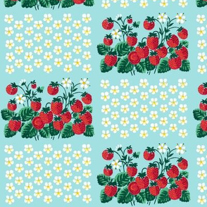strawberry strawberries fruits daisy daisies flowers floral plants chequer checkered shabby chic