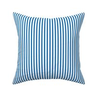 Stripes Carolina Blue and White Stripe