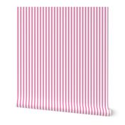 Stripes Pink and White Stripe