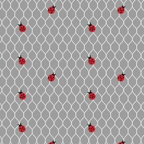 Don't miss the point (small ladybug on chicken wire lighter grey)