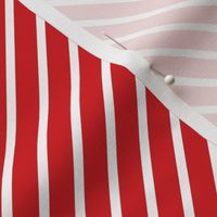 Red and White Diagonal Pinstripes Stripe