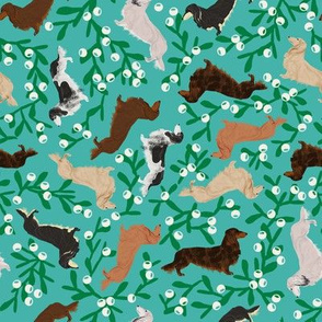 dachshund mistletoe fabric cute doxies dogs longhaired doxies