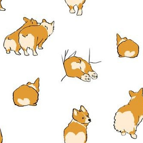 Corgi Butts