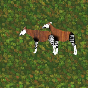 Teak Okapi for Pillow