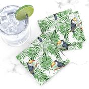 Palm leaves and Toucan