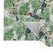 Palm leaves and Toucan