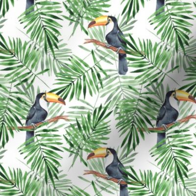 Palm leaves and Toucan