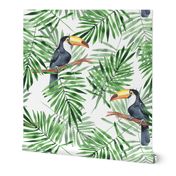 Palm leaves and Toucan