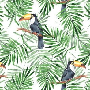 Palm leaves and Toucan