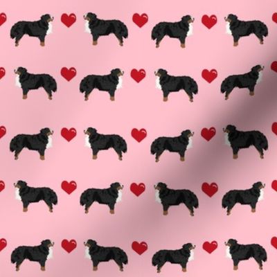 blossom pink biewer terrier love hearts cute dog fabric 