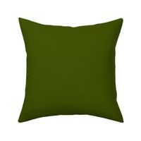 GRST2 - Olive Green aka Saturated Lime Green Solid -hex code 425400