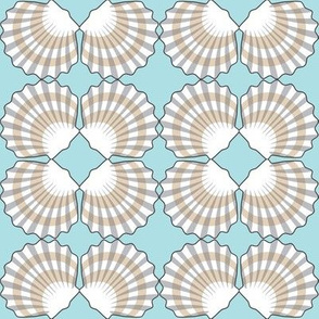 seashell-symmetry