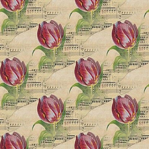 musical tulip