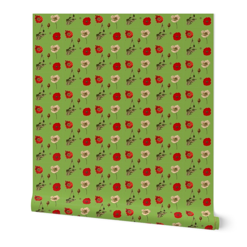 Greenery Poppies