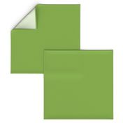 Foliage Green ~ Peacoquette Palette Solid