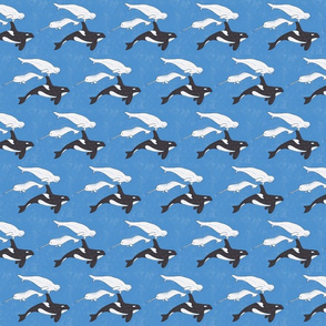 small whales sky