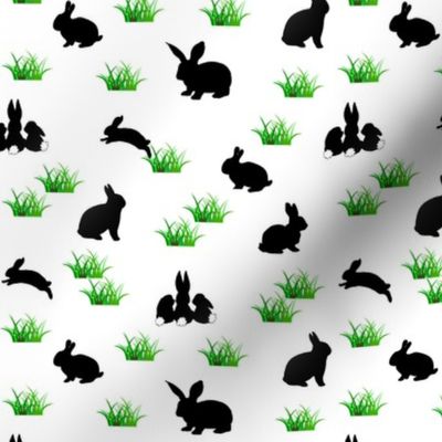 black rabbits in the grass