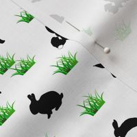 black rabbits in the grass