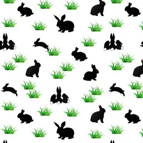 black rabbits in the grass