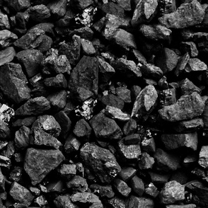 Coal for Christmas