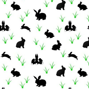 black rabbits with green grass