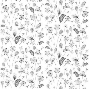 Wildflower Sketch Black White // standard