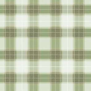 Plaid Gingham Mashup in Olive